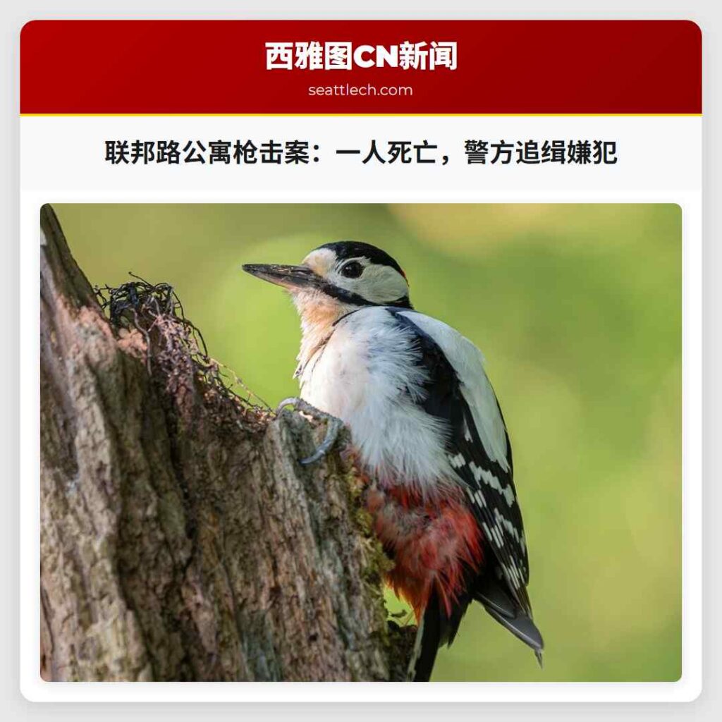 联邦路公寓枪击案：一人死亡，警方追缉嫌犯