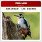 华盛顿州联邦路公寓发生枪击案，造成一人死亡