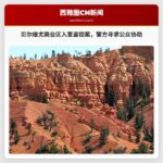 贝尔维尤警方寻求公众协助调查商业区入室盗窃案