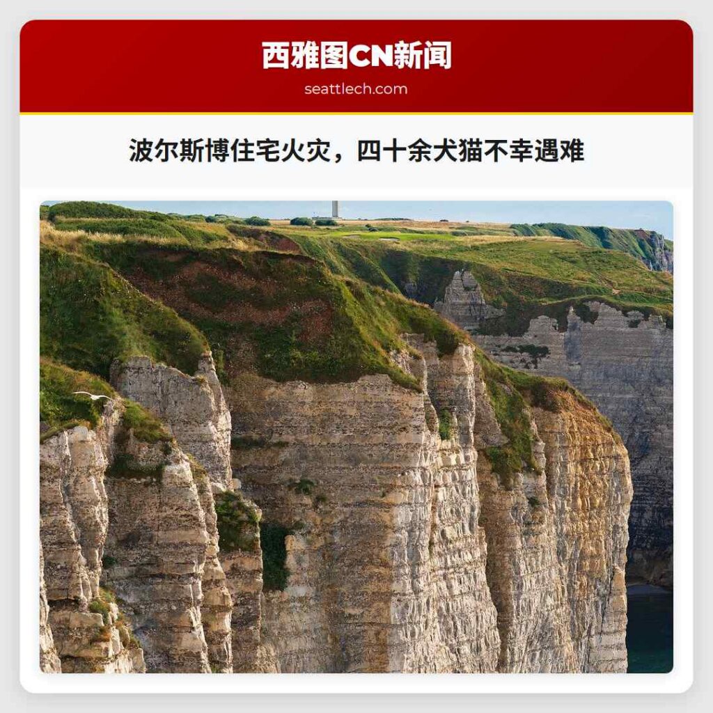 波尔斯博住宅火灾，四十余犬猫不幸遇难