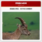 男子持刀与警方对峙，西雅图大学区现警情