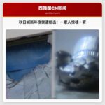 秋日城新年夜住宅突遭枪击，一家人惊魂一宵，警方展开调查