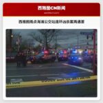 西雅图雨点海滩地区公交车站连环凶杀案，两人遇害