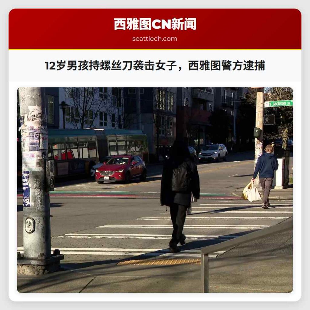 12岁男孩持螺丝刀袭击女子，西雅图警方逮捕