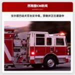 戈尔德巴附近六只幼犬疑似芬太尼中毒获救，目前正在康复中