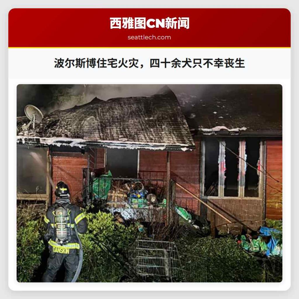 波尔斯博住宅火灾，四十余犬只不幸丧生