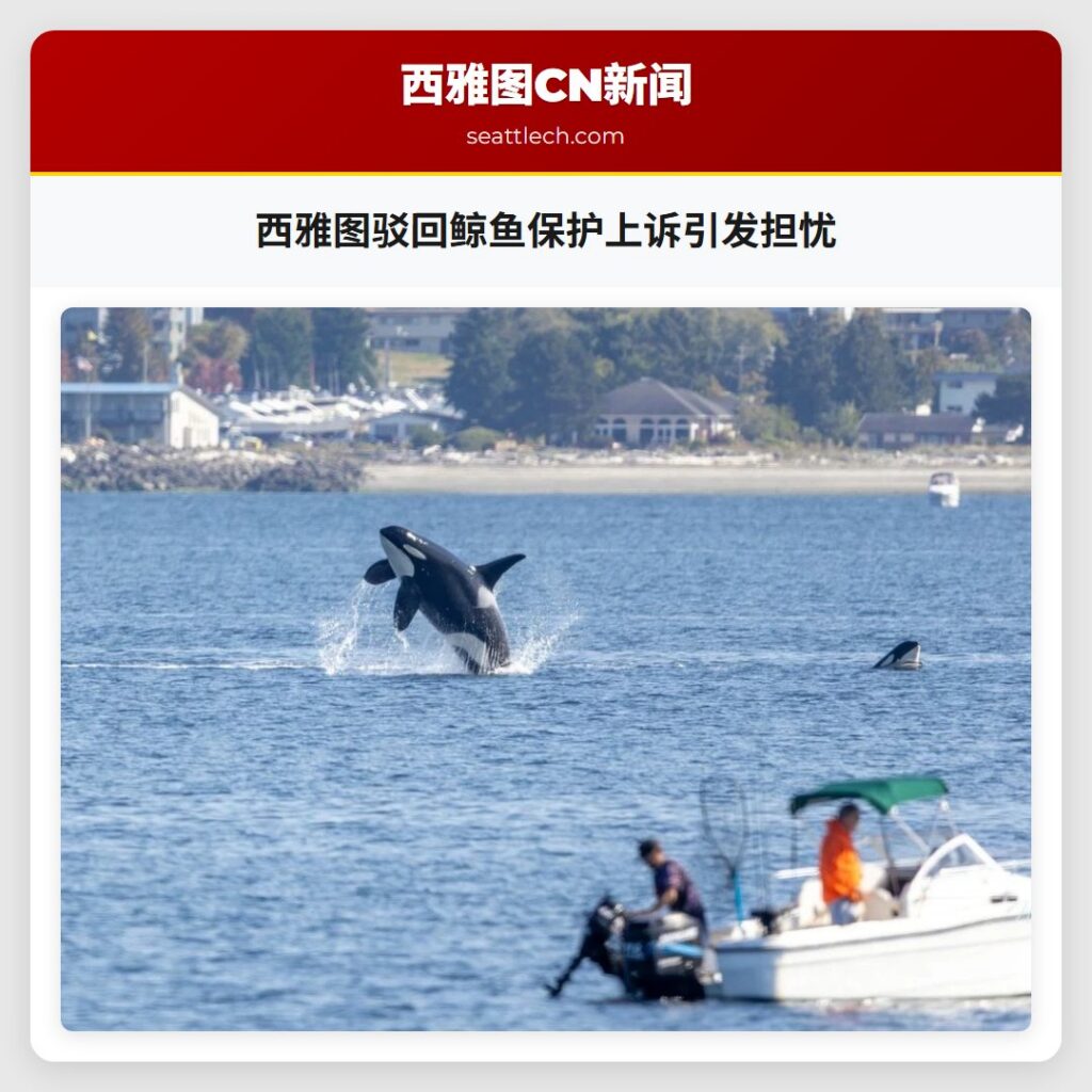 西雅图驳回鲸鱼保护上诉引发担忧