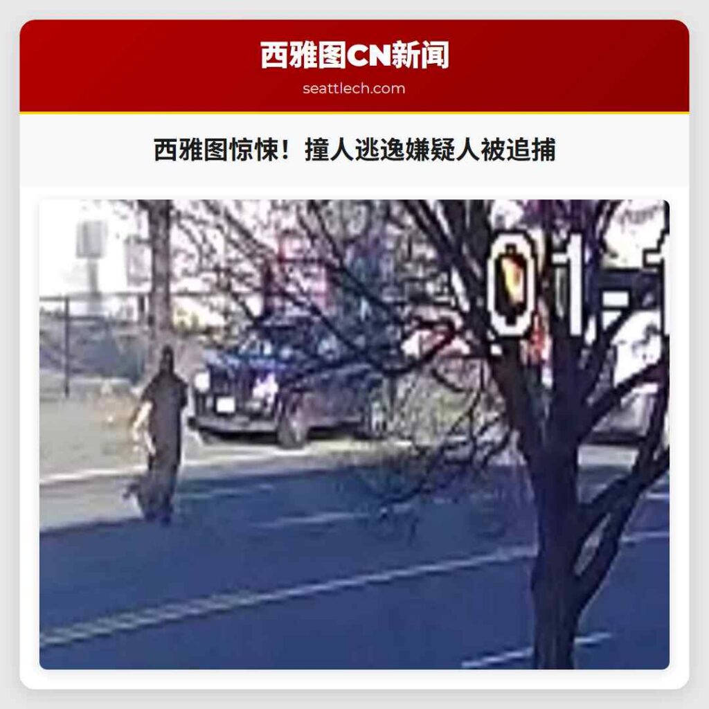 西雅图惊悚！撞人逃逸嫌疑人被追捕