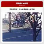 西雅图警方追捕撞人逃逸嫌疑人，大麻商店员工受伤