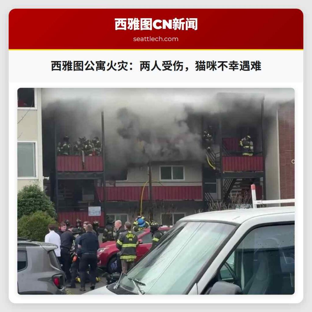 西雅图公寓火灾：两人受伤，猫咪不幸遇难