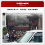 西雅图比肯山公寓火灾造成人员受伤，宠物猫不幸遇难