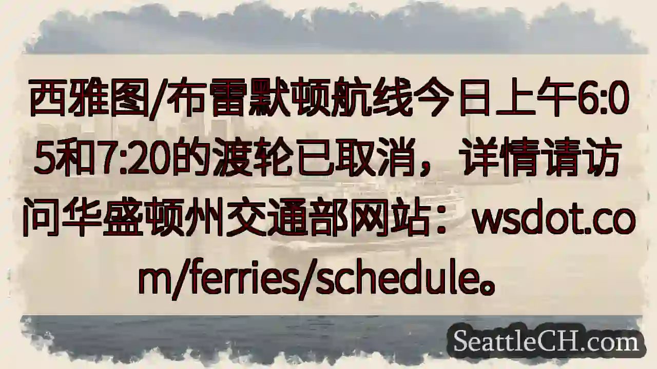 渡轮取消！请查看详情