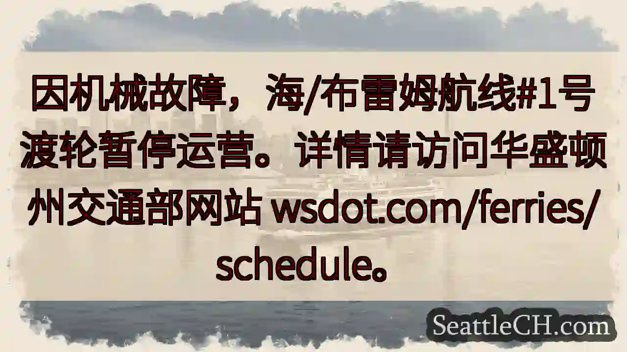 渡轮暂停运营！