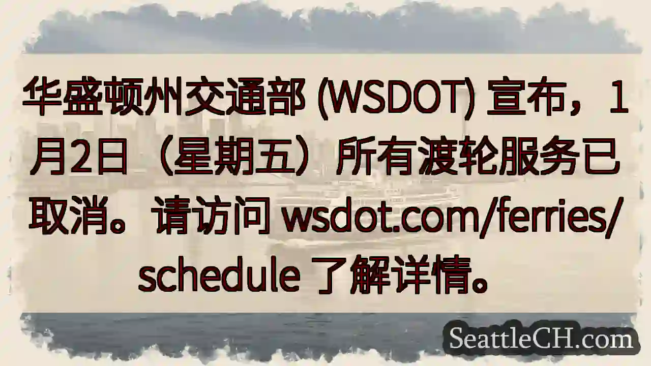 渡轮取消！请查阅详情