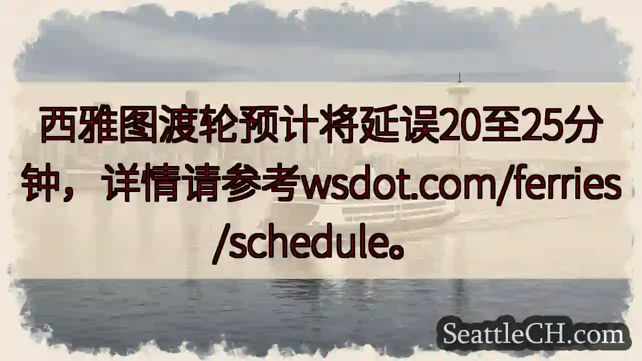 渡轮延误20-25分钟！