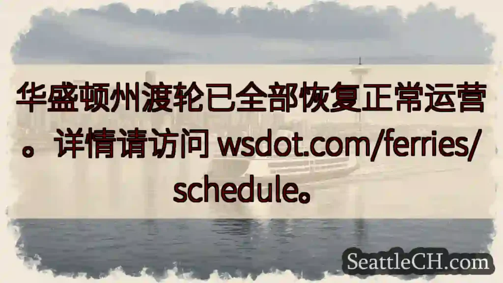 渡轮恢复运营！