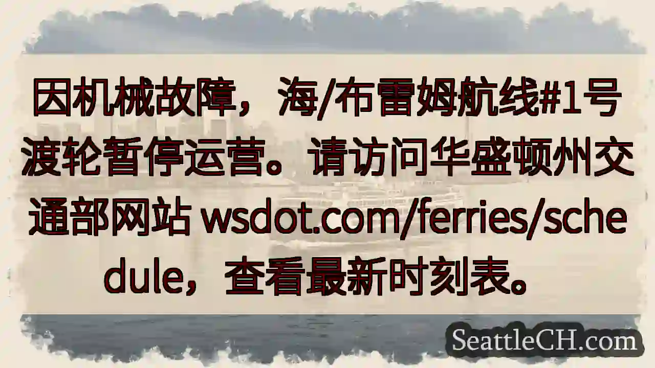 渡轮1号暂停运营！