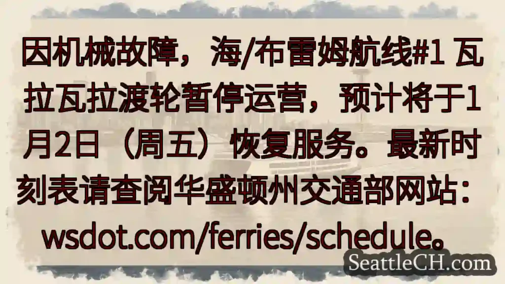 渡轮暂停运营！1月2日恢复。