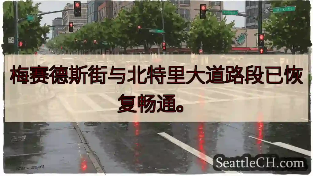 梅赛德斯路恢复通行！