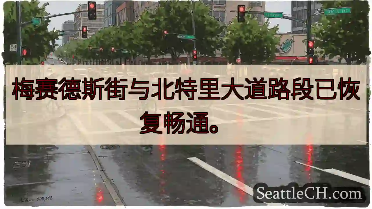 梅赛德斯路恢复通行！
