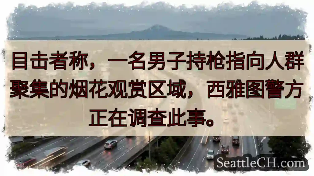 西雅图：男子持枪？
