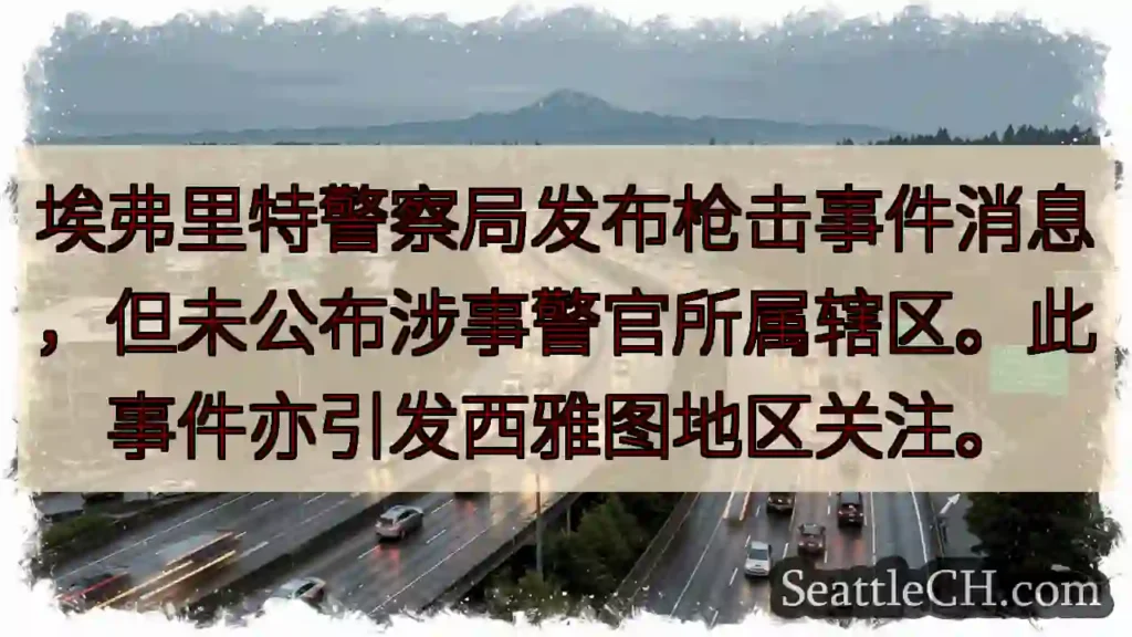 埃弗里特枪击事件，细节待查
