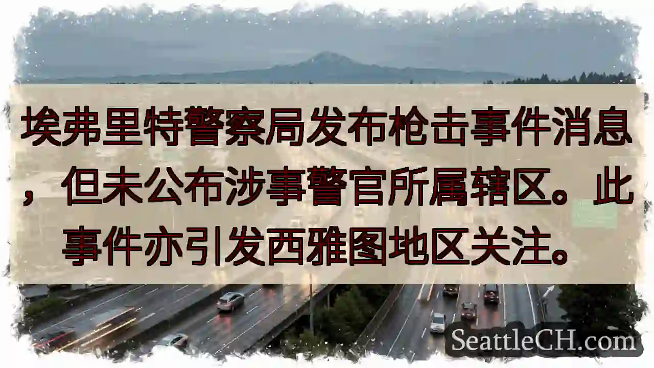 埃弗里特枪击事件，细节待查