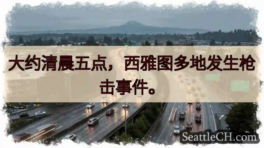 西雅图突发枪击！