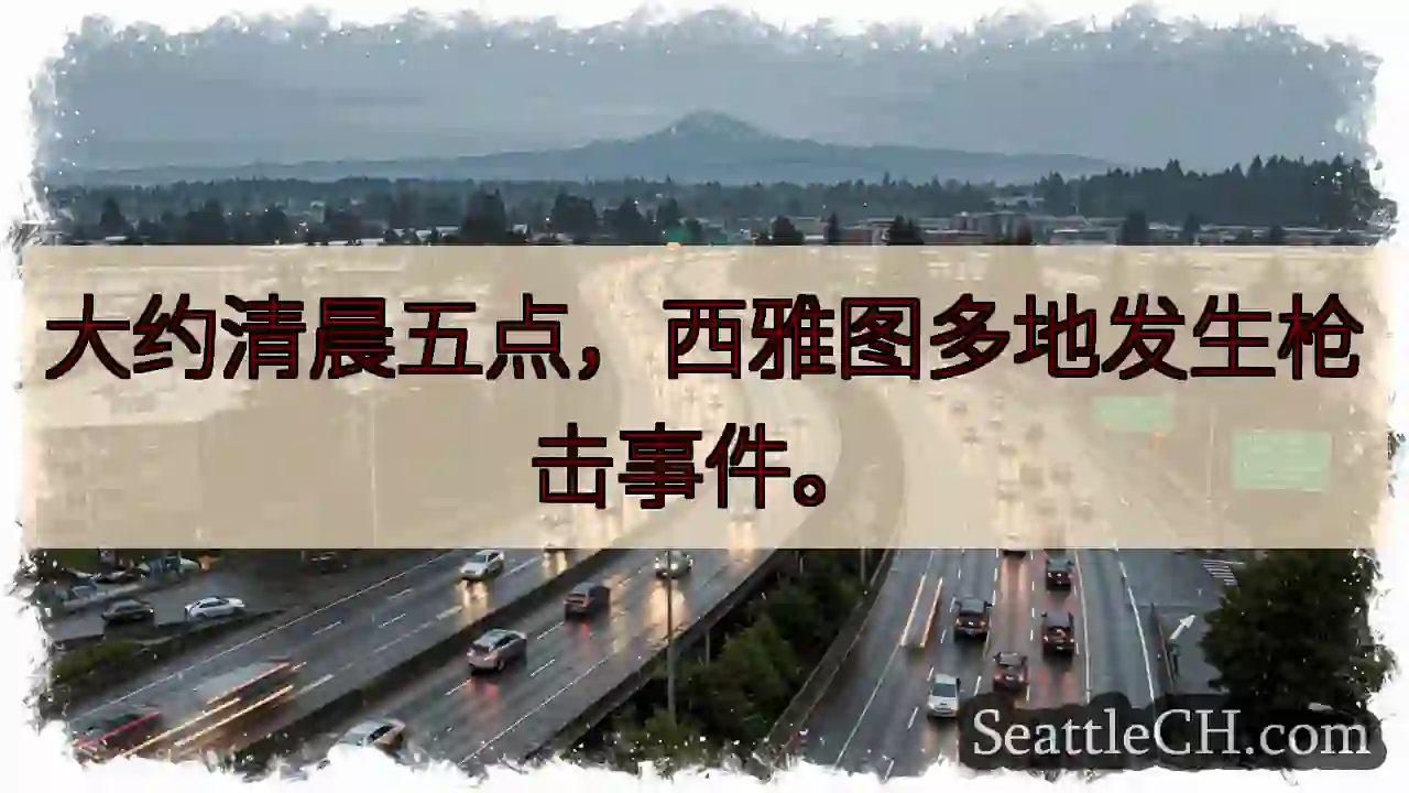 西雅图突发枪击！