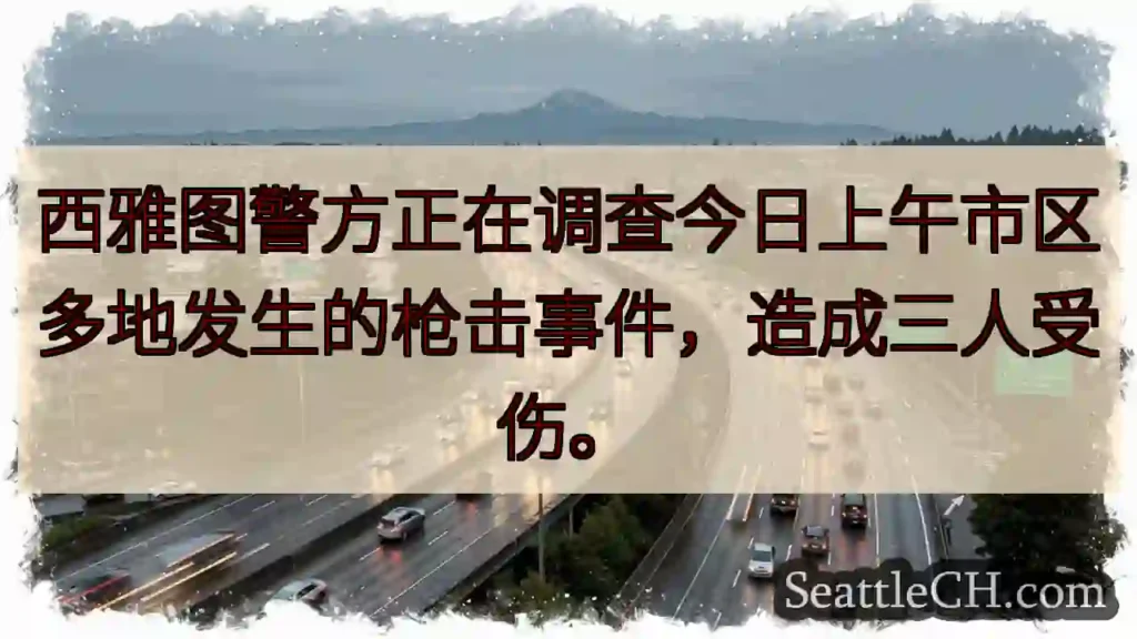 西雅图枪击事件！三人受伤