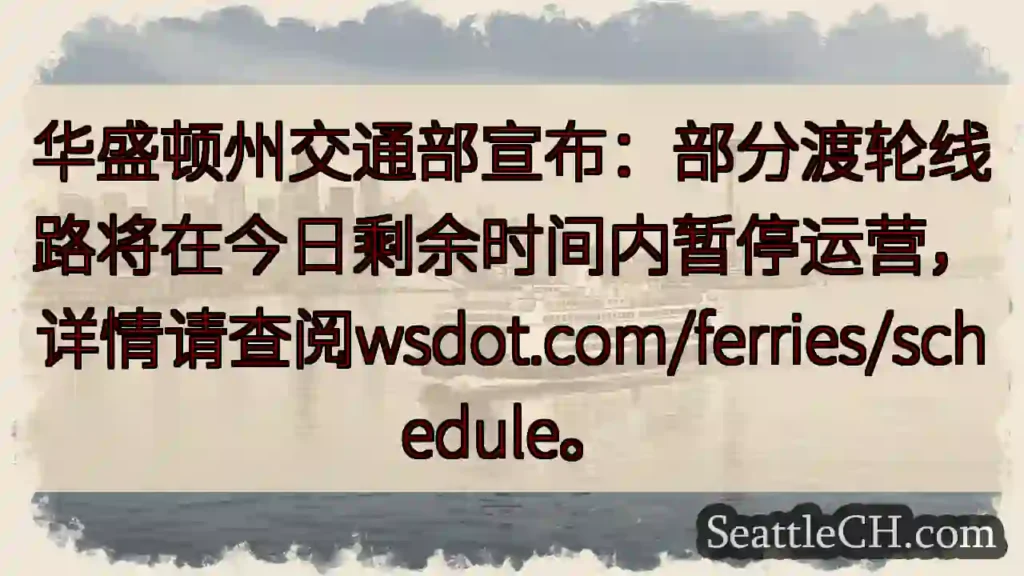 渡轮暂停运营！详情请查