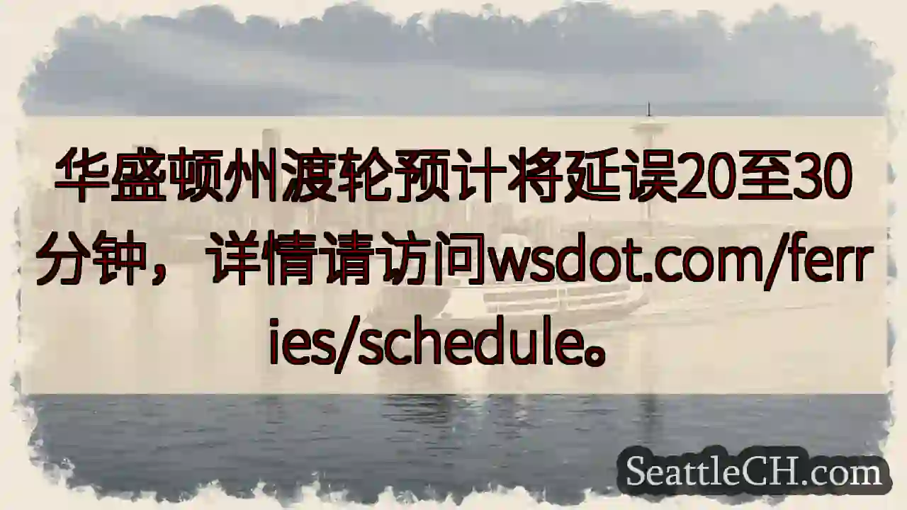 渡轮延误：20-30分钟