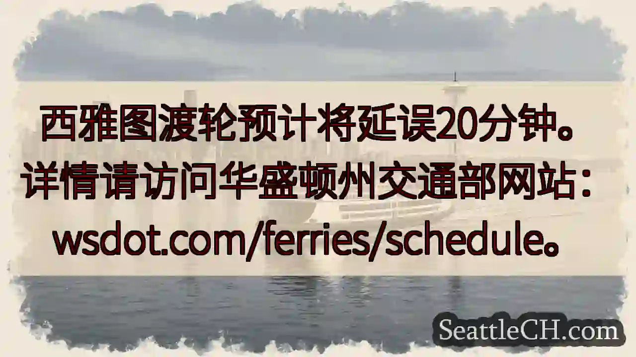 渡轮延误20分钟！