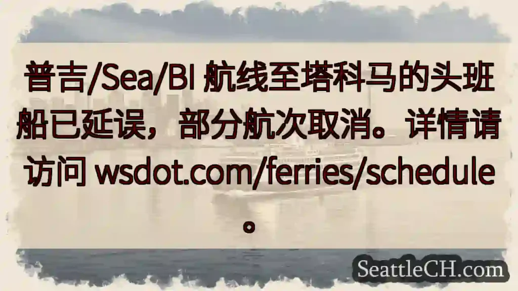 普吉航线延误/取消！