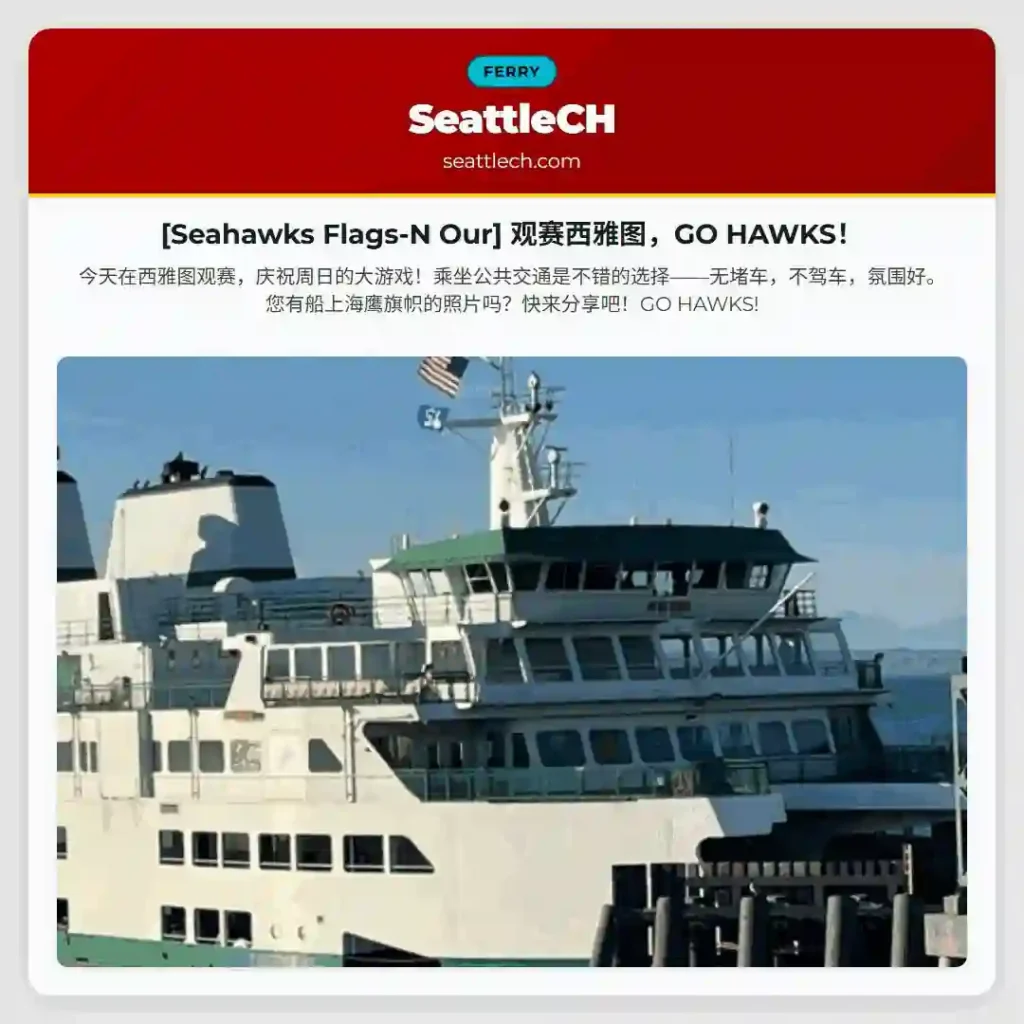 [Seahawks Flags-N Our] 观赛西雅图，GO HAWKS！