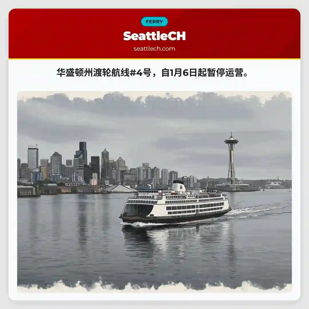 渡轮4号暂停运营！