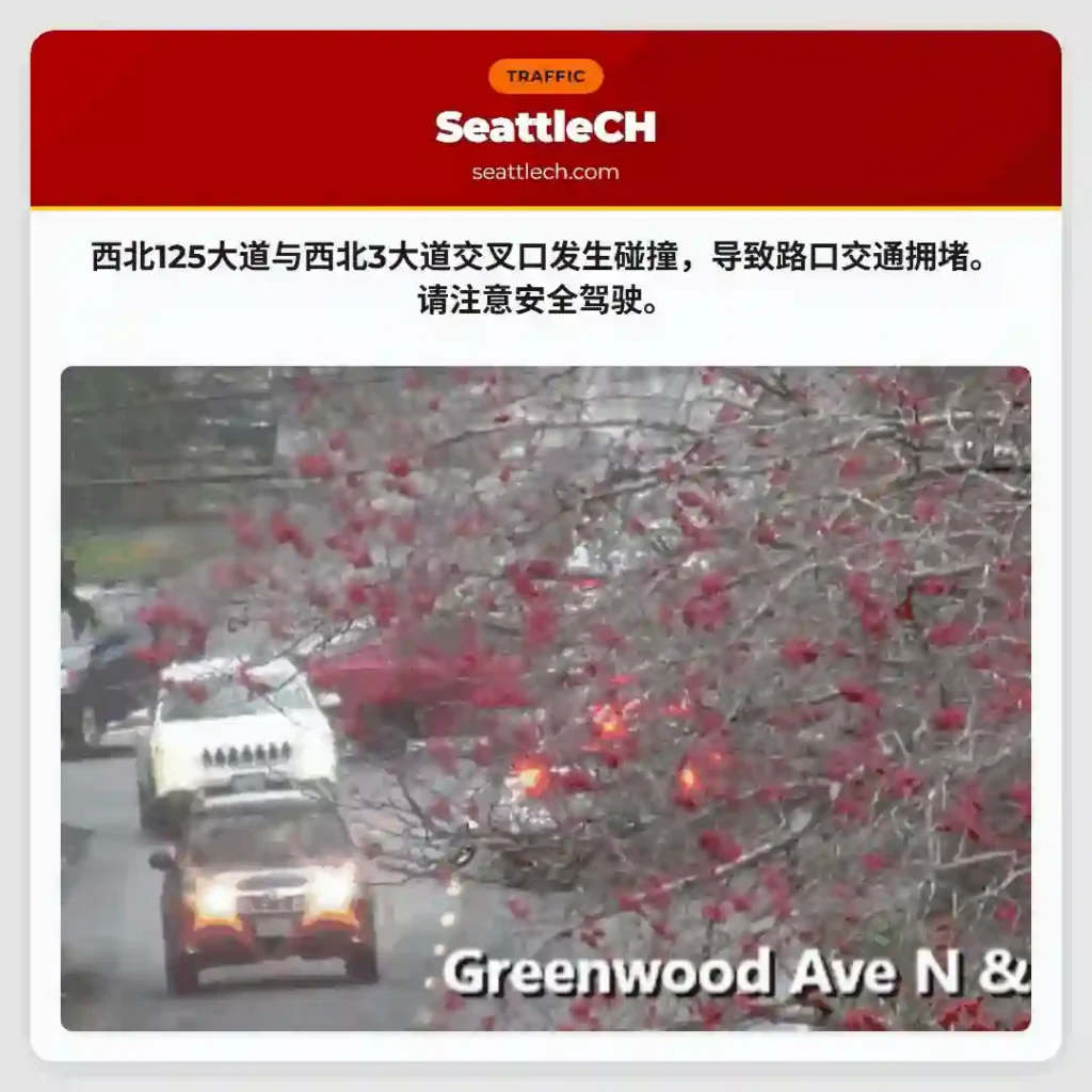 事故！路口拥堵，请减速！