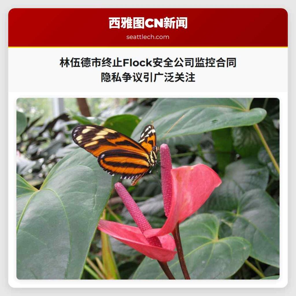 林伍德市终止Flock安全公司监控合同 隐私争议引广泛关注