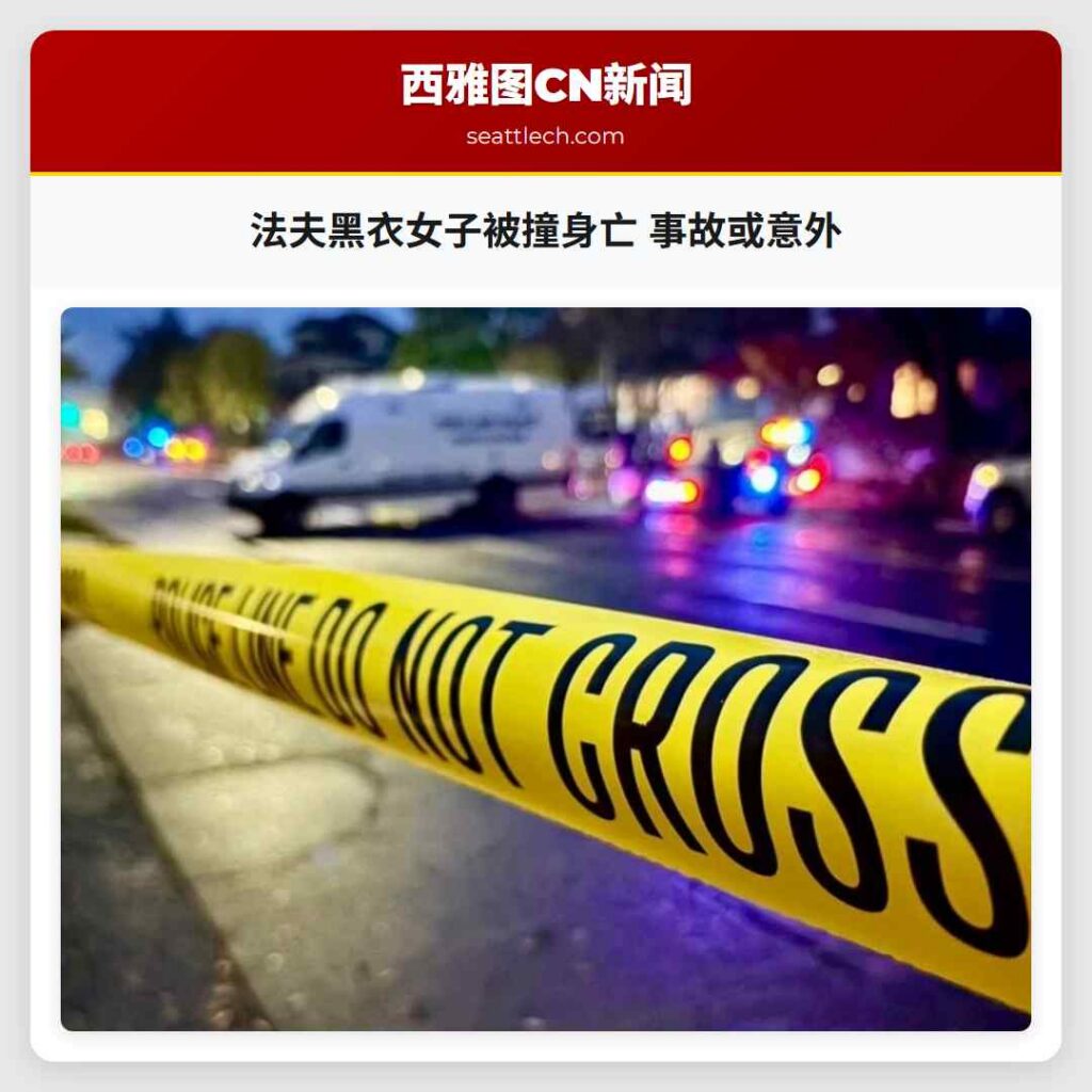 法夫黑衣女子被撞身亡 事故或意外