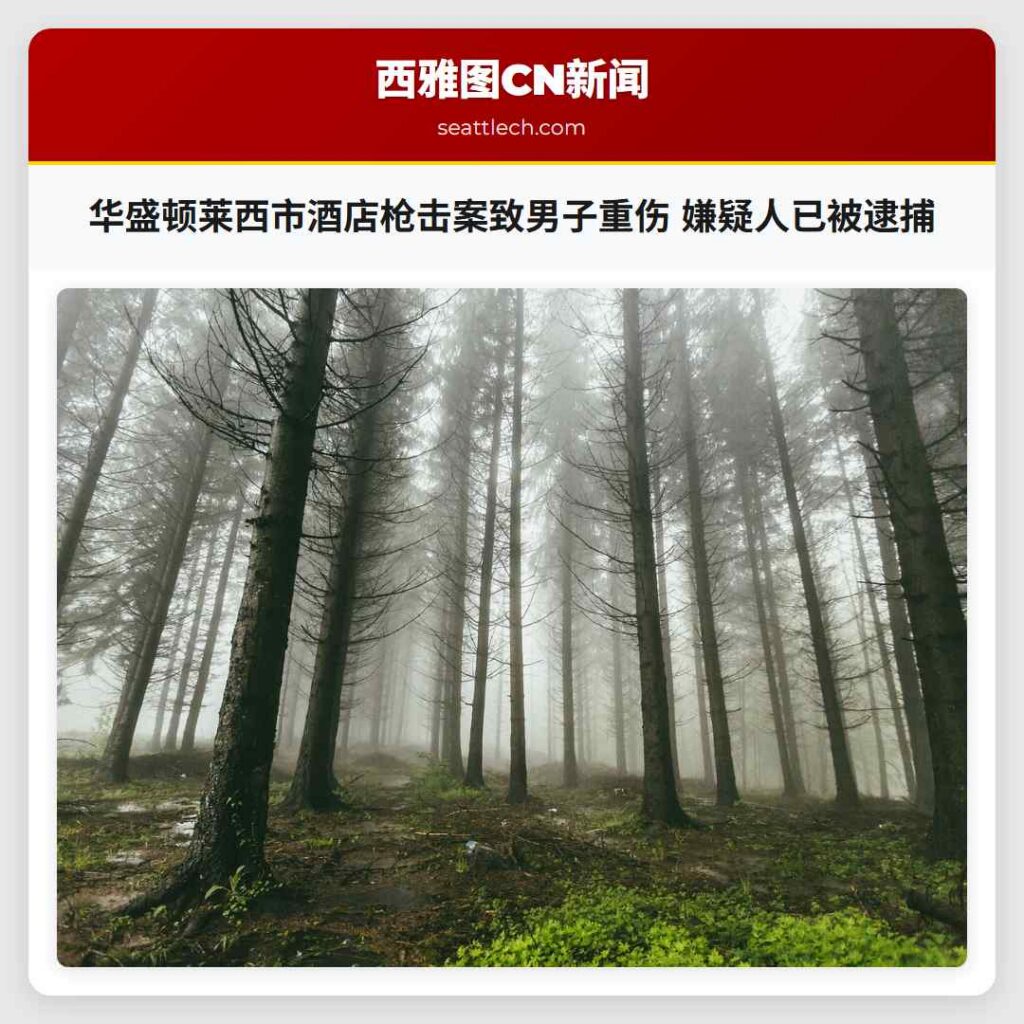 华盛顿莱西市酒店枪击案致男子重伤 嫌疑人已被逮捕