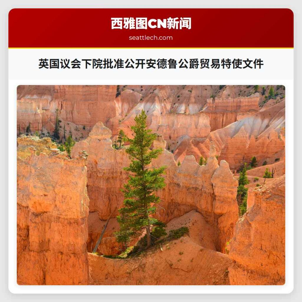 英国议会下院批准公开安德鲁公爵贸易特使文件