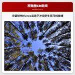 华盛顿州Pierce县警方通报：男子冲闯学生过马路斑马线遭逮捕