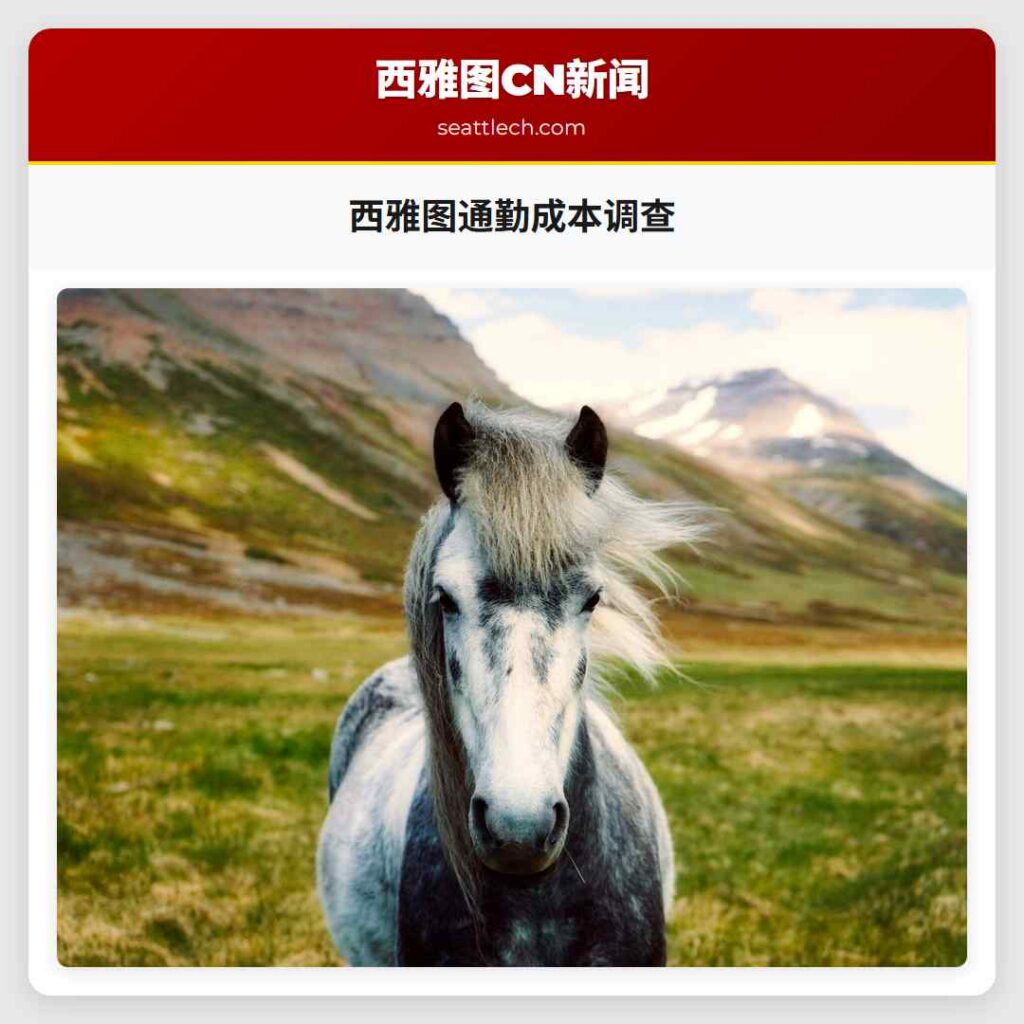 西雅图通勤成本调查