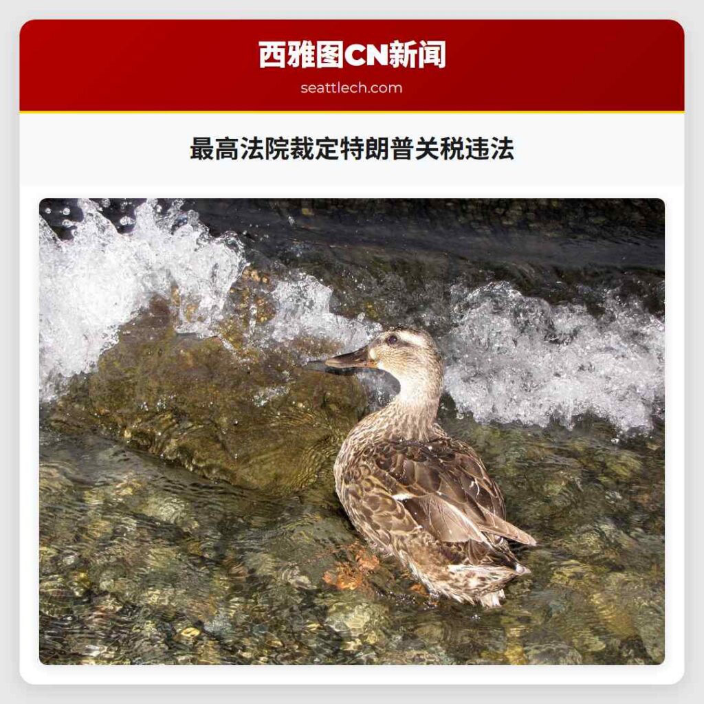 最高法院裁定特朗普关税违法