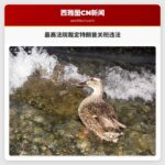 美国联邦最高法院裁定特朗普关税政策违法