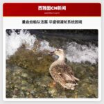 重启历史蚊船队法案引热议 华盛顿渡轮系统陷困境