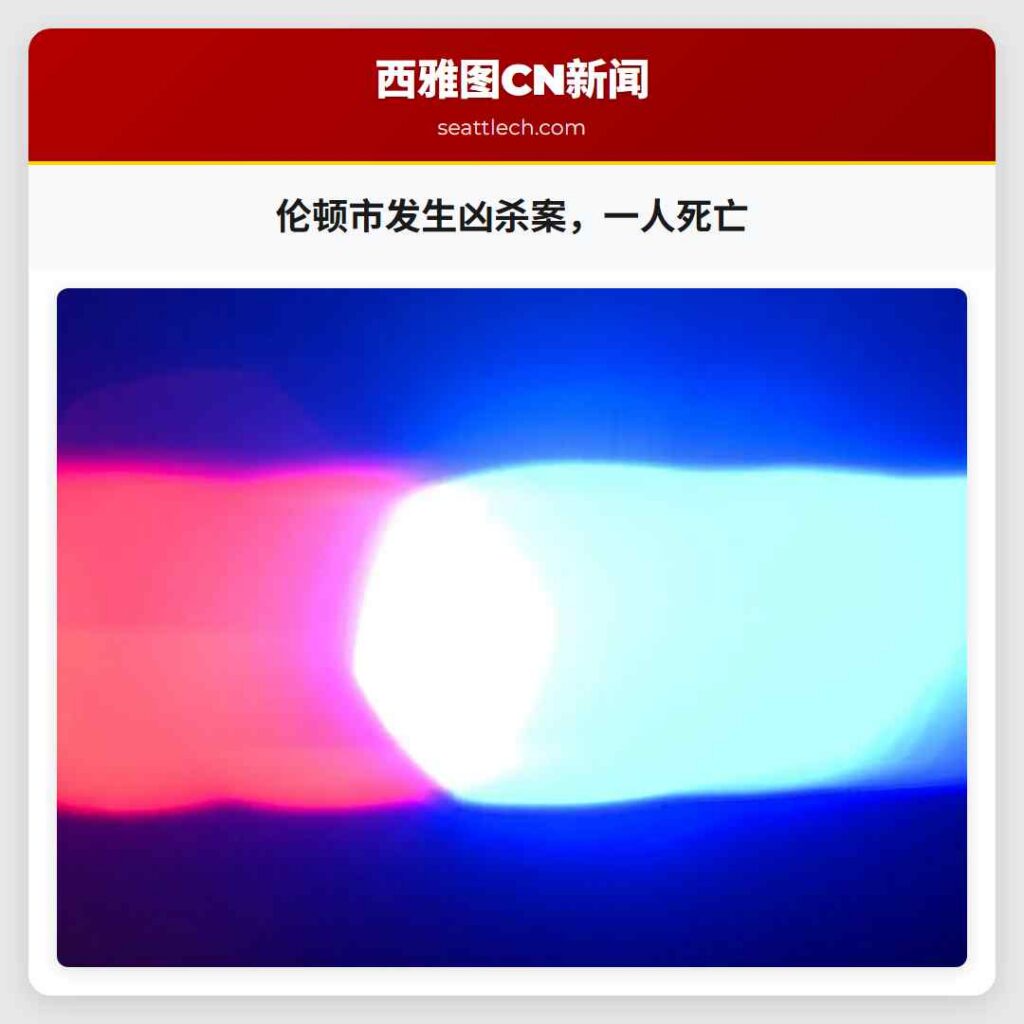 伦顿市发生凶杀案，一人死亡