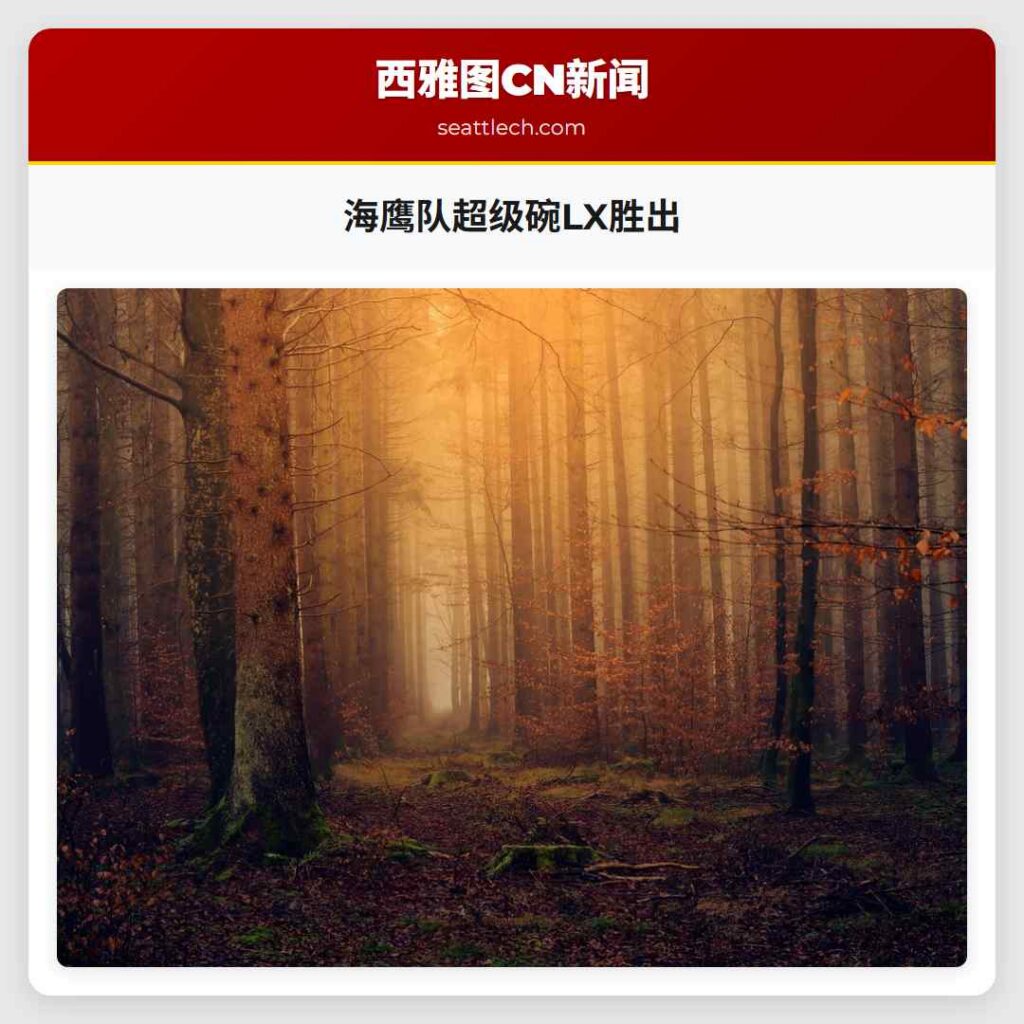 海鹰队超级碗LX胜出