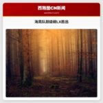 超级碗LX：西雅图海鹰队凭借强大防守和肯尼森·沃克三世的出色表现以29比13击败新英格兰爱国者队