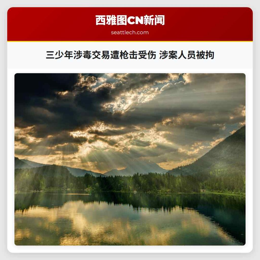 三少年涉毒交易遭枪击受伤 涉案人员被拘